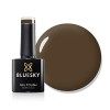 Bluesky Vernis gel, AW22, Blue Blog – AW2224, bleu, gris, indigo, durable, résistant aux éclats, 10 ml nécessite un séchage 