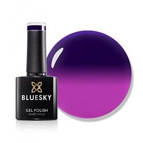 SHIN sh040 Vernis gel UV pour pose LED TC43, 1er Pack 1 x 10 ml 
