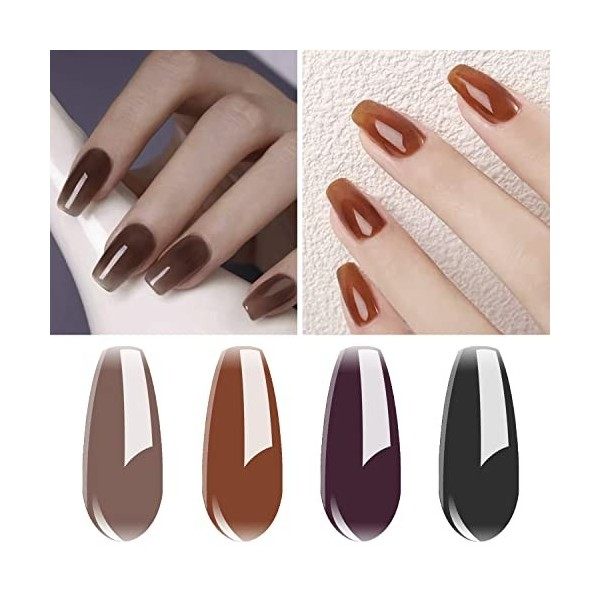 Vishine 4 Couleurs Vernis Gel Semi-Permanent Jelly Vernis à ongles Couleur Transparente Pourpre Ambre Brun Noir Gelée de Cris