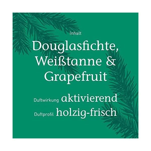 Primavera Energiekick Duft Roll-On bio 10 ml Crème Jour et Nuit