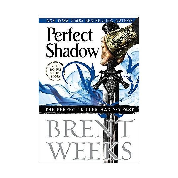 Perfect Shadow: A Night Angel Novella