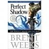 Perfect Shadow: A Night Angel Novella