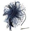 DRESHOW Fascinator Chapeau Plume Mariage Dames Day Bandeau et Clip Cocktail Tea Party Chapeau pour Fille et Femmes,Taille uni