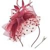 DRESHOW Fascinator Chapeau Plume Mariage Dames Day Bandeau et Clip Cocktail Tea Party Chapeau pour Fille et Femmes,Taille uni