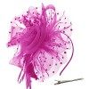 DRESHOW Fascinator Chapeau Plume Mariage Dames Day Bandeau et Clip Cocktail Tea Party Chapeau pour Fille et Femmes,Taille uni