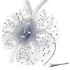 DRESHOW Fascinator Chapeau Plume Mariage Dames Day Bandeau et Clip Cocktail Tea Party Chapeau pour Fille et Femmes,Taille uni