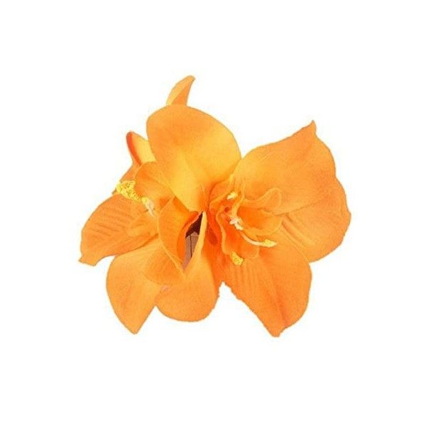 Lot de 5 grandes pinces à cheveux pour femme - En mousseline de soie - Fleurs tropicales artificielles hawaïennes - Hibiscus 