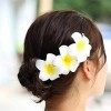 Vakkery Lot de 3 pinces à cheveux en forme de fleur de Plumeria hawaïenne - Accessoires de cheveux pour femmes et filles