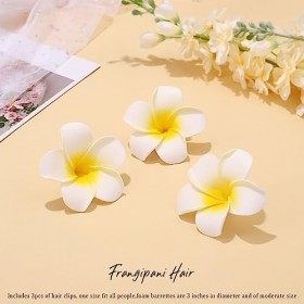 Vakkery Lot de 3 pinces à cheveux en forme de fleur de Plumeria hawaïenne - Accessoires de cheveux pour femmes et filles