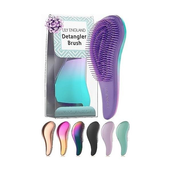 Brosse à Cheveux Démêlante, Superbe Qualité Salon Coiffure - La Meilleure Brosse pour les Cheveux Fins, Épais, Bouclés, Secs 