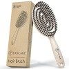 FABCARE Brosse à cheveux bio poils de sanglier ronde avec Ebook - Brosse démêlante à double ressort spirale - Brosse à cheveu