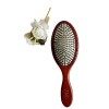 Brosse démêlante en bois et picots plastique - Brosse à Cheveux Pneumatique en Bois de Hêtre convient à tous types de cheveux