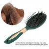 Brosse à Cheveux de Massage à Coussin Dair, Brosse à Cheveux Anti-frisottis pour Cheveux Bouclés ou Raides Tour 