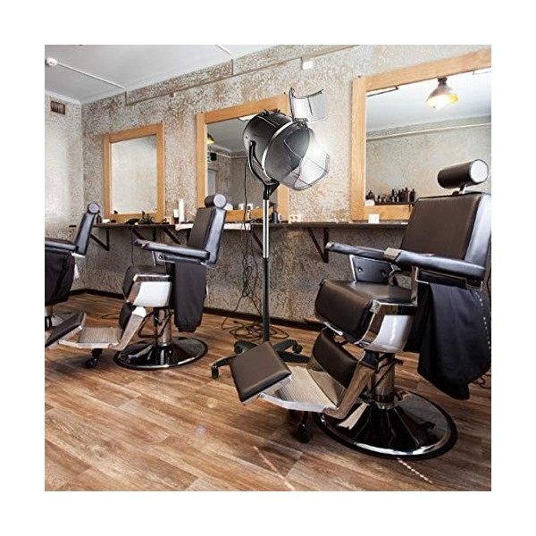 DREAMADE Sèche-Cheveux sur Pied 1050 W Sèche Cheveux Professionnel avec Hauteur Ajustable 125 à 160 CM Température Réglable C