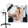 Cheveux Steamer Salon Hair, Salon Spa Hair Steamer Rolling Stand Capuche Coloration des Cheveux Perming Conditioner Steamer E