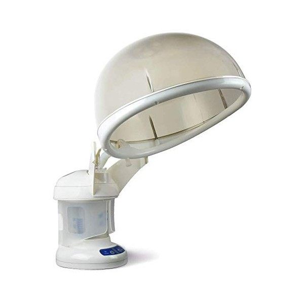 Vapeur multifonctionnelle avec onzone pour les cheveux - Vapeur de cheveux