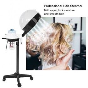 Vapeur à cheveux Sécheur Salon professionnel Spa Portable Bonnet Processeur de coloration Vapeur avec support de plancher à r