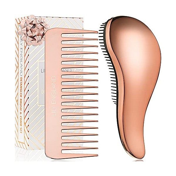 Duo Brosse Démêlante et Peigne – La Meilleure Brosse Démêlante pour Cheveux Mouillés, Secs, Bouclés, pour Femmes & Enfants, e