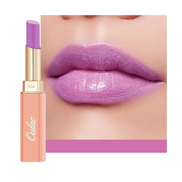 Oulac 2 in 1 Rouge a Levre et Baume a Levre Marron - Rouge à Lèvres Juteux et Brillant, Finition Brillante pour les Lèvres Sè...