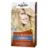 Schwarzkopf Palette Coloration Permanente Cheveux, Crème Soin, Couvre 100 pour cent des Cheveux Blancs, Tenue 8 semaines, Noi
