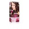 Garnier 860-7654 Couleur Sensation Coloration - 200 Gr, nº4.15 Chocolat