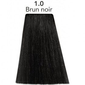Coloration Color One 1.0 brun noir Patrice Mulato 80ML
