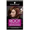 Schwarzkopf Root Retouch Coloration permanente pour cheveux blonds - Idéal pour repousser les racines grises - Sans ammoniaqu...