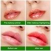 MXTIMWAN 3 pièces Aloe Vera Rouge à Lèvres, Baume à Lèvres Magique à Changement Couleur Température, Lèvres Maquillage Aloe V