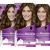 PERFECT MOUSSE Coloration mousse 6-65/665 Niveau 3 Marron chocolat clair, 92,5 ml lot de 3 