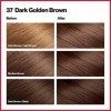 Revlon Colorsilk Dark Golden Brown 37, 4.4 Fluid Ounce by Revlon