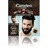 Cameleo Hommes Couleur Crème Gris OFF Coloriseur à Usage unique en 2 sachets pour cheveux, barbe et moustache 5 min. Effet de