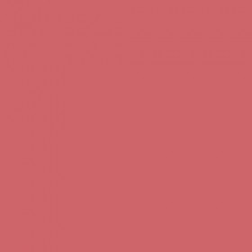 LOréal Paris&nbsp; Color Riche Rouge à&nbsp; Lèvres 285 Rose glacé