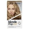 Clairol Blond It Up Coloration permanente pour cheveux, blond platine, 270 g