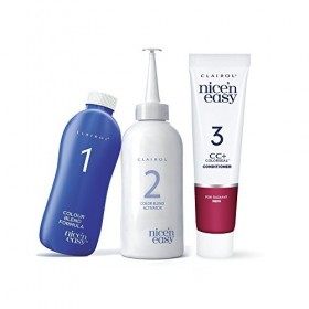 Clairol Nice N Easy 109A - Natural Warm Auburn