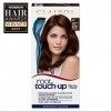 Clairol Root Touch up Coloration pour cheveux