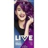 Schwarzkopf LIVE Ultra Brights Teinture semi-permanente Violet Pour cheveux jusquà 15 lavages Violet Punk 094