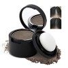 Boobeen Multifonction Hairline Powder Root Cover Up Shadow Powder, Hair Line Concealer Powder, Quick Cover Hair Root Touch Up