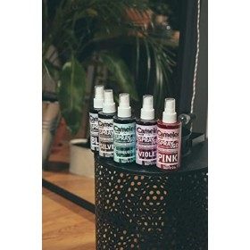 Cameleo,Spray & Go,Spray de peinture pour cheveux,Rose,pour cheveux blonds, blond platine et gris,il suffit de vaporiser et d