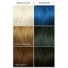 Arctic Fox Teinture semi-permanente pour cheveux, 100 % végane, 118 ml, bleu Poséidon