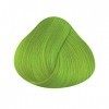 New La Riché Directions Coloration Semi-Permanent pour Cheveux, Fluorescent Green, 88 ml