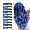 10 Pièces Peigne à Craie pour Cheveux, MSDADA Cheveux Craie Peignes de Craie Temporaire Dye Couleur de Brosse pour Filles Enf