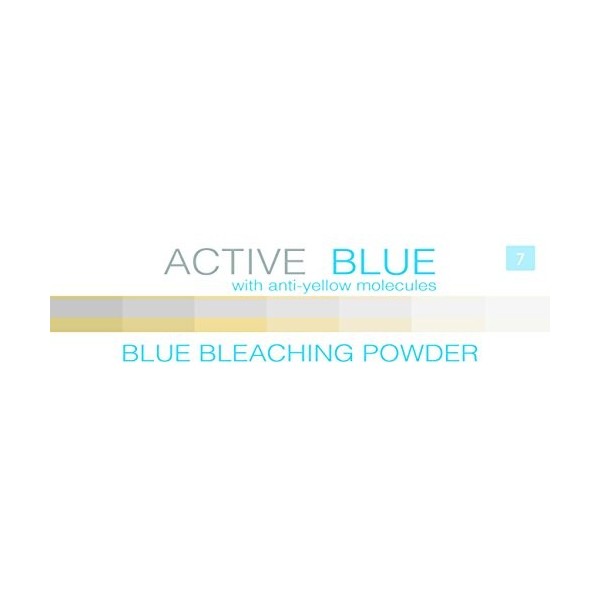 Makki ActiveBlue Poudre décolorante bleue anti-jaunissement pour cheveux