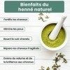 Henné Naturel en Poudre 100G Qualité AAA+ Coloration Naturelle Cheveux - Apporte Soin Brillance et Volume - Coloration Auburn