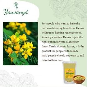 Yauvanya 100% pure poudre de cassia henné neutre - 3X100 g pour cheveux blond/doré
