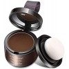 Hairline Powder, Hair Root Concealer, Hairline Shadow Cover Up Powder Utilisation pour combler les cheveux clairsemés, Correc