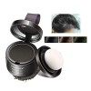 Hairline Powder, Hair Root Concealer, Hairline Shadow Cover Up Powder Utilisation pour combler les cheveux clairsemés, Correc