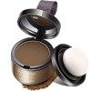 Hairline Powder, Hair Root Concealer, Hairline Shadow Cover Up Powder Utilisation pour combler les cheveux clairsemés, Correc