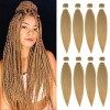 X-Tress Rajout Cheveux Tresse 8pcs Box Braids Meches 60cm Longue Super Doux Tressages Synthétiques 2 Tone Couleurs Vanille Br