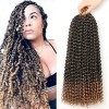 Passion Twist Hair, 6 Packs 18inch Crochet Braids Meches for Long Bohemian Hair Tressage YDDM Passion Extensions de cheveux s