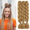 WoWCFyyds Kanekalon Hair Meches Pour Tresses Africaine Rajout Cheveux Tresses 24"Jumbo Braid 3Pièces Extension de Cheveux Tre